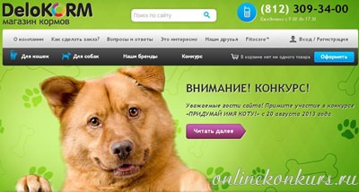 Творческий конкурс «Придумай имя коту» и выиграй 10 кг корма для любимца!