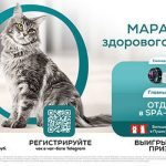 Акция Марафон здорового питания-01