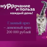 Акция Мурррчание и польза каждый день