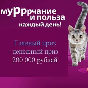 Акция «Мурррчание и польза каждый день!»