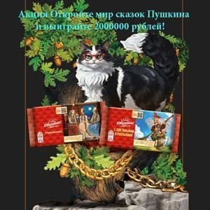 Акция Откройте мир сказок Пушкина