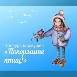 интернет-конкурс кормушек