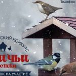 Конкурс Птичьи заметки-01