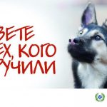 Конкурс рисунка Мы в ответе за тех, кого приручили-01